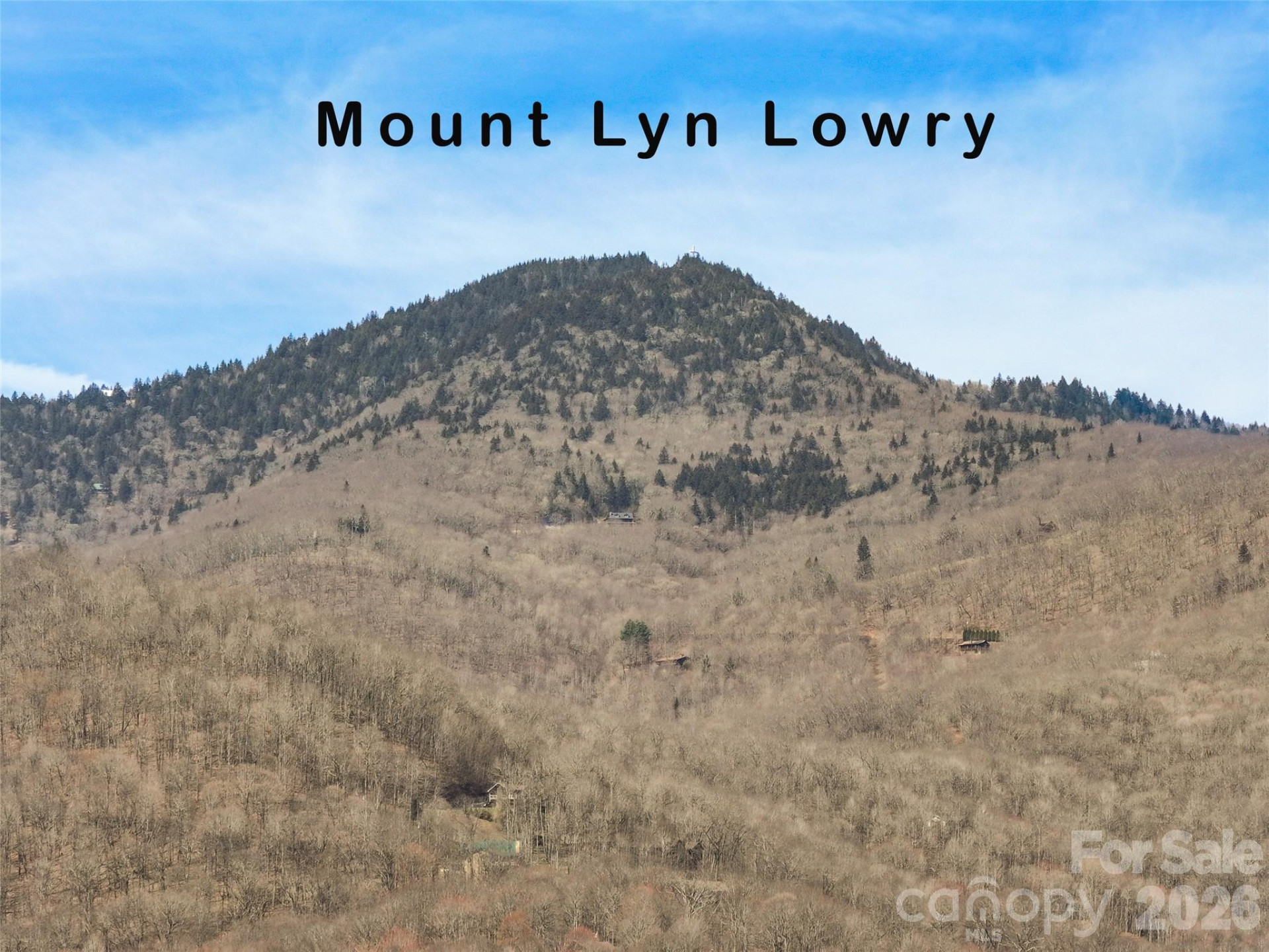 33 Freedom Drive - Photo 5