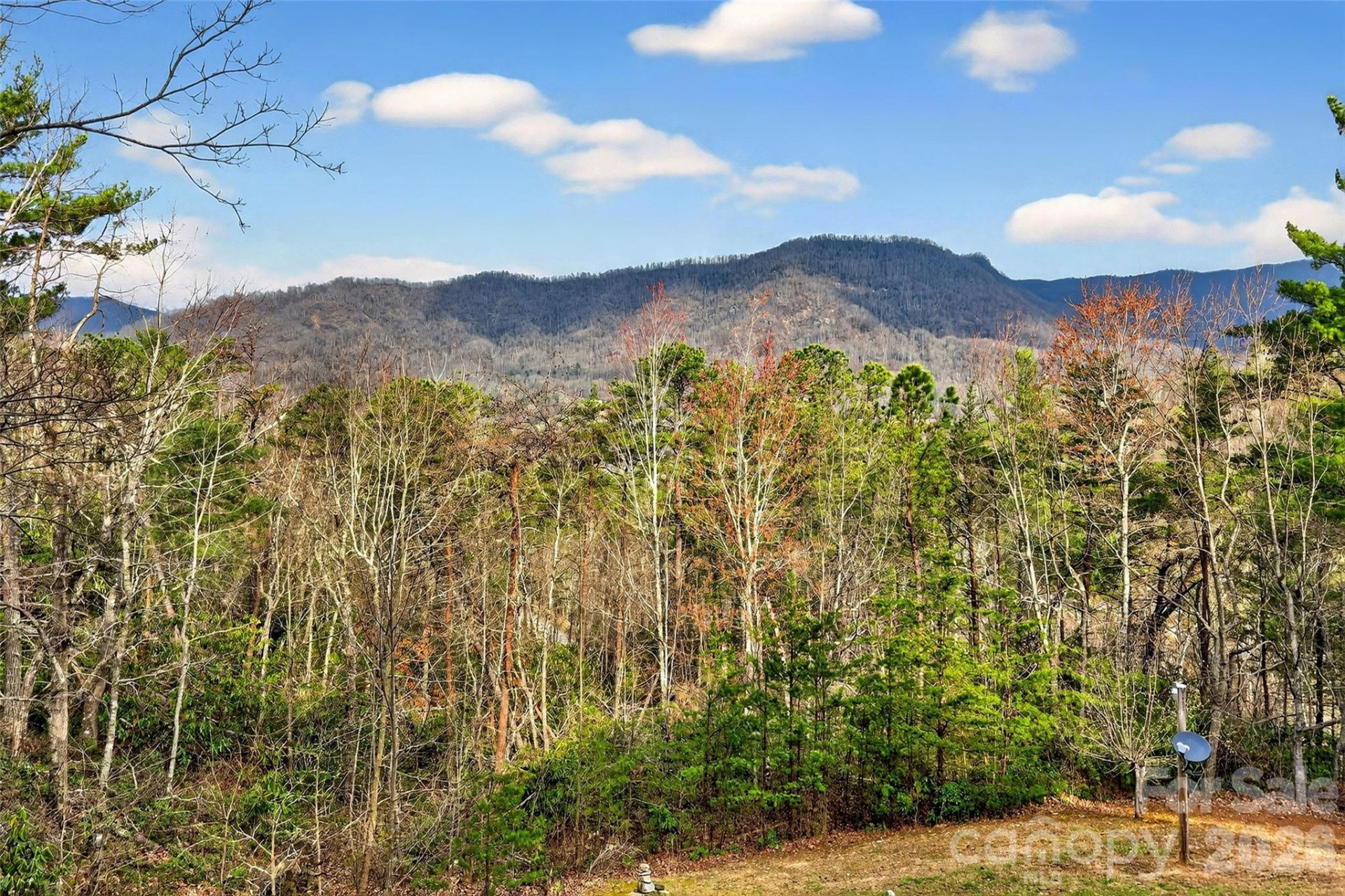 182 Baby Fox Drive - Photo 5