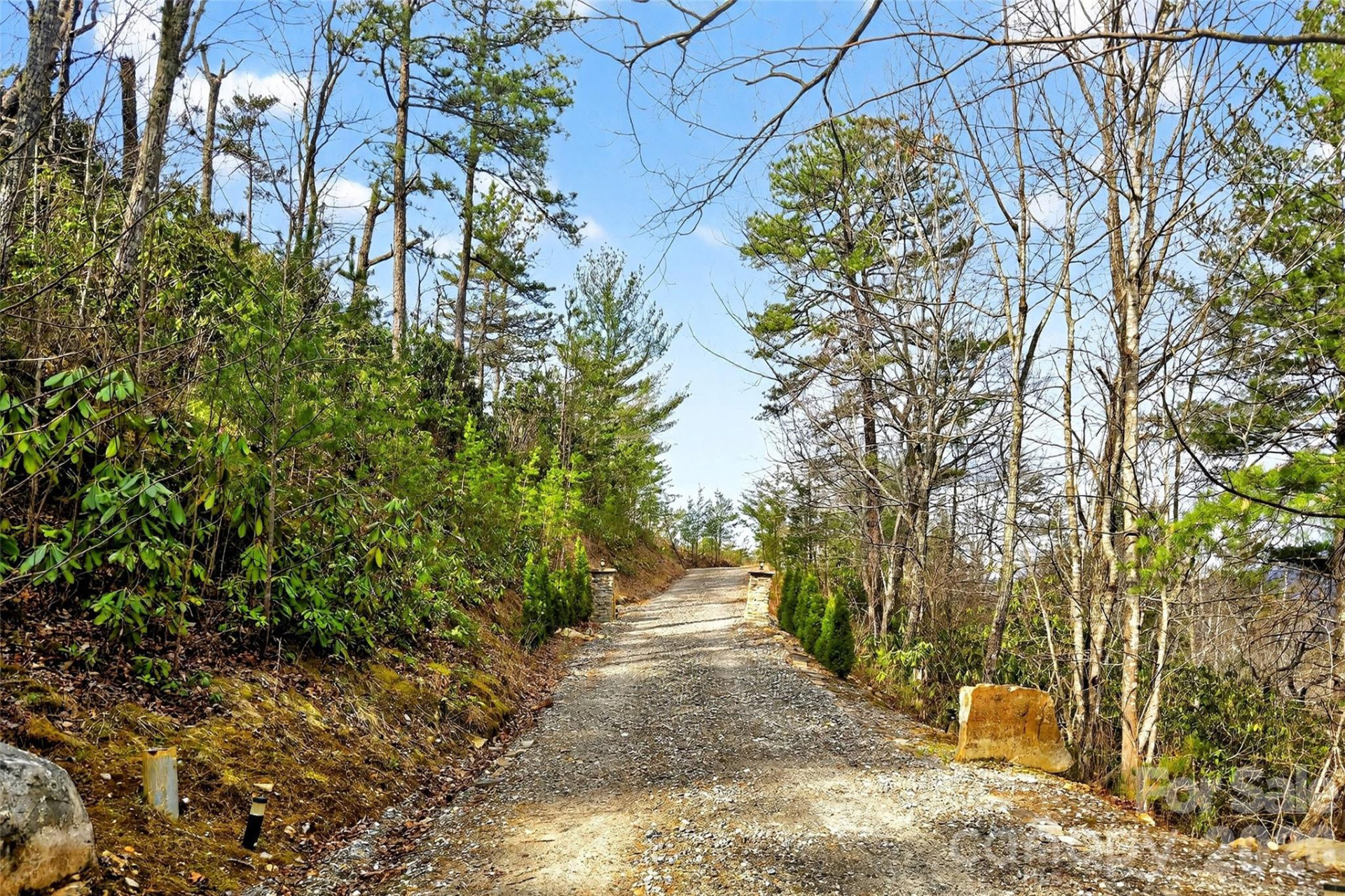 182 Baby Fox Drive - Photo 41