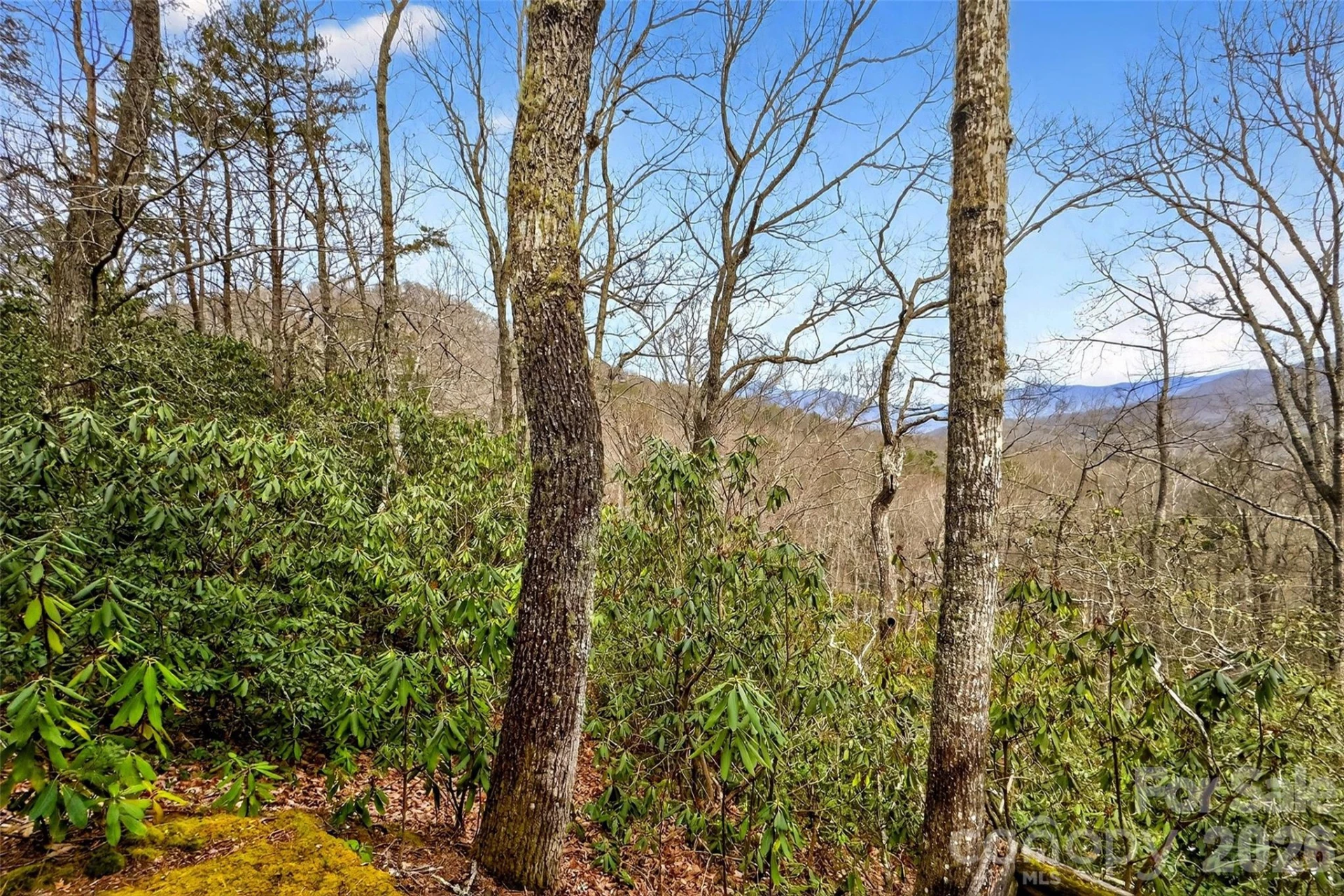 169 Hilltop Road - Photo 14