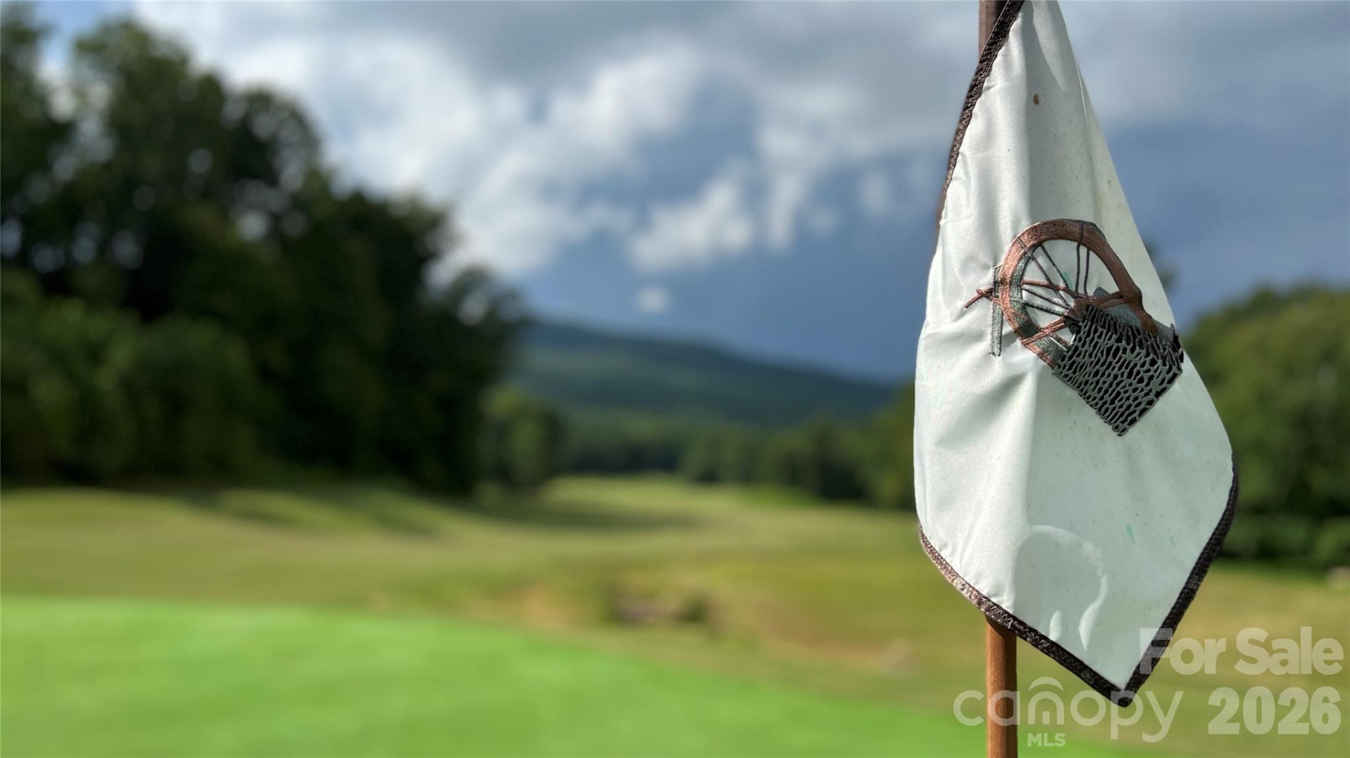 538 Chestertown Drive - Photo 48