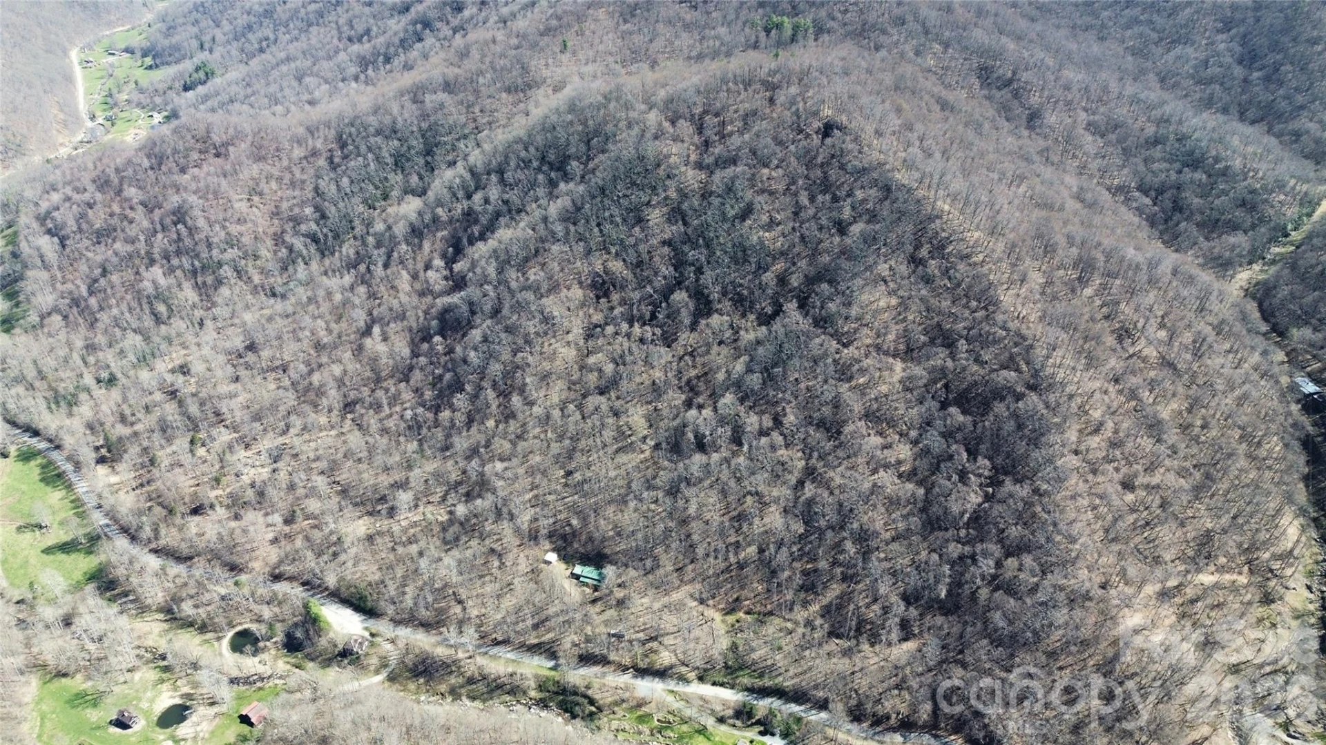 17619 Nc 209 Highway - Photo 12