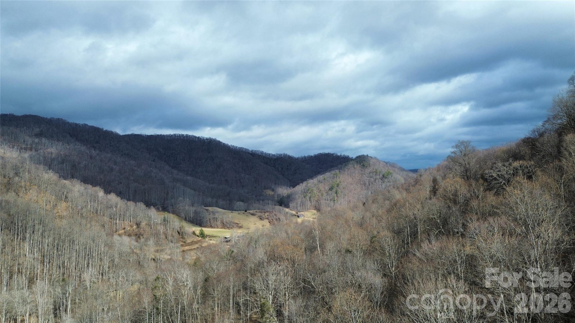 17619 Nc 209 Highway - Photo 10