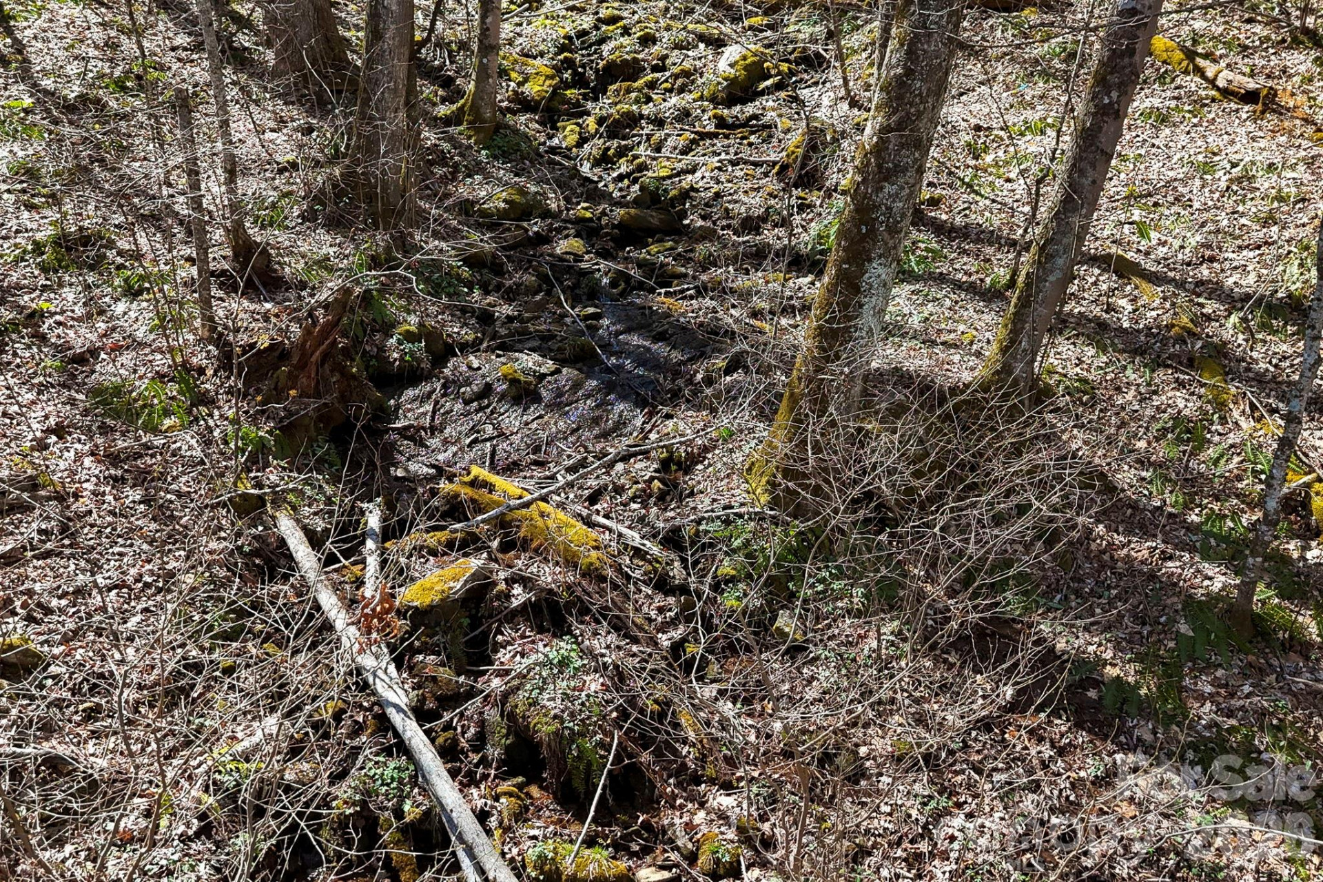 256 Inglewood Cove Road - Photo 25