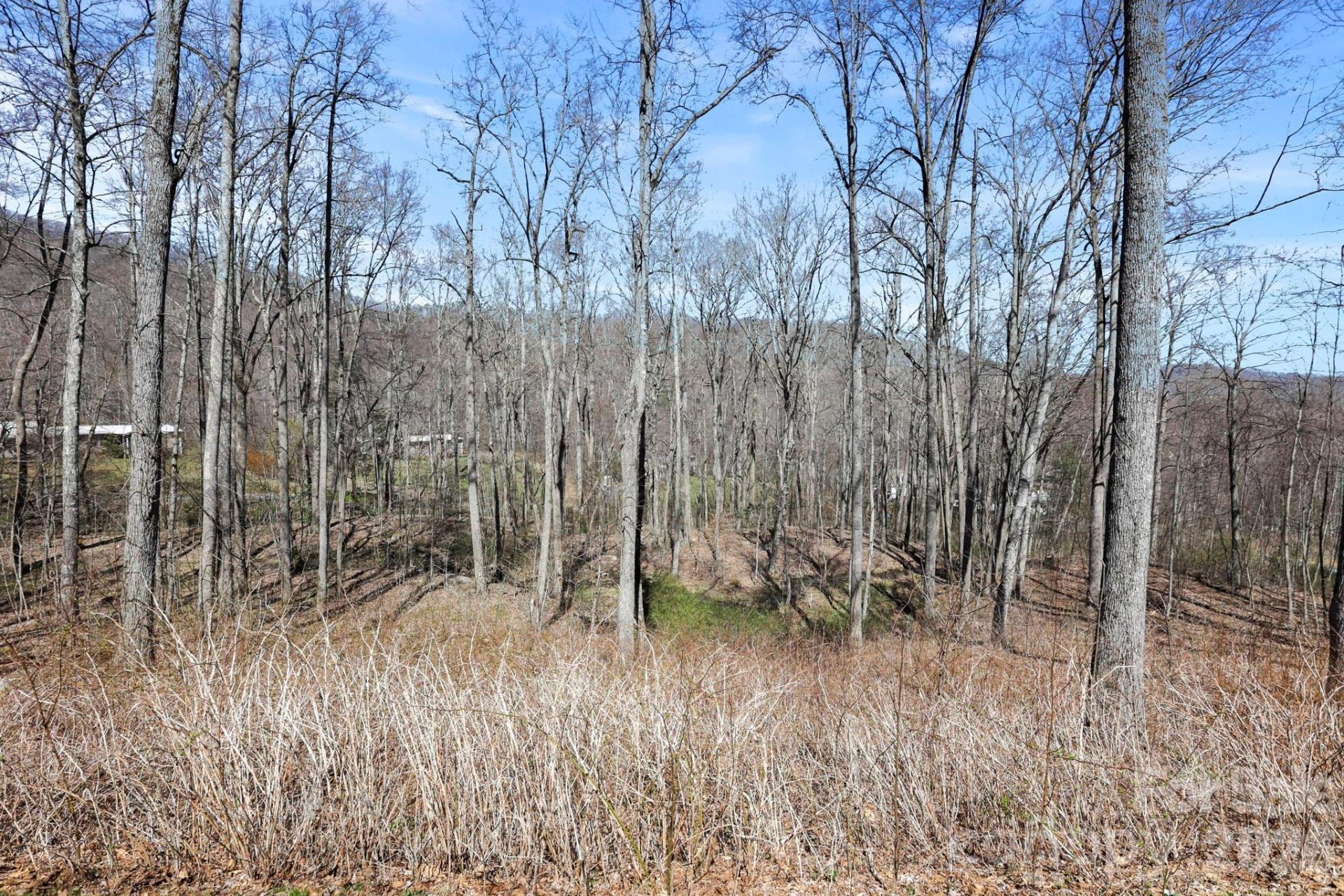 256 Inglewood Cove Road - Photo 28