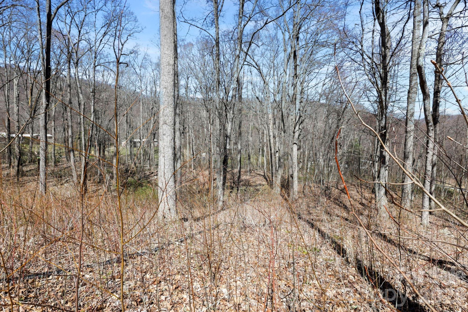 256 Inglewood Cove Road - Photo 30