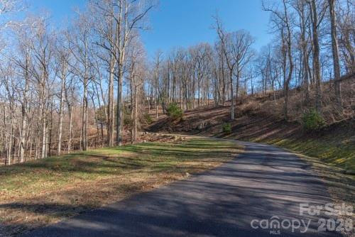 96 Castanea Mountain Drive - Photo 2