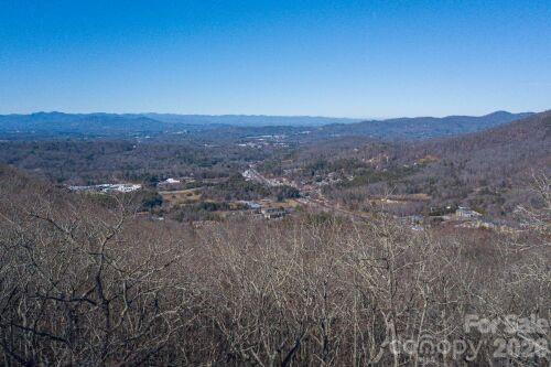 96 Castanea Mountain Drive - Photo 11