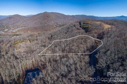 96 Castanea Mountain Drive - Photo 12