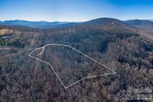 96 Castanea Mountain Drive - Photo 13
