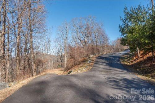 96 Castanea Mountain Drive - Photo 3