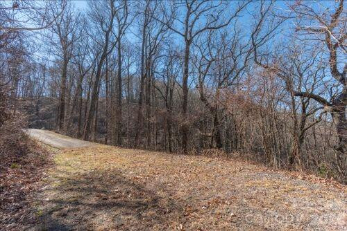 96 Castanea Mountain Drive - Photo 4