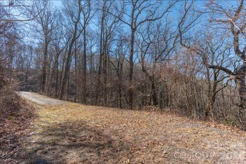 96 Castanea Mountain Drive - Photo 4