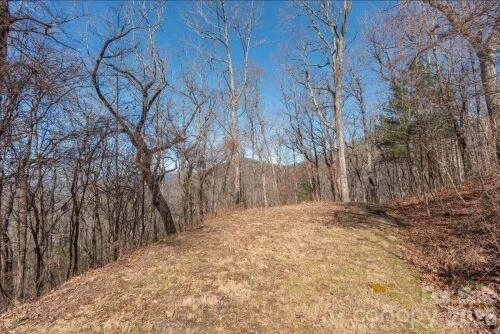 96 Castanea Mountain Drive - Photo 5