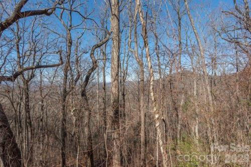 96 Castanea Mountain Drive - Photo 6