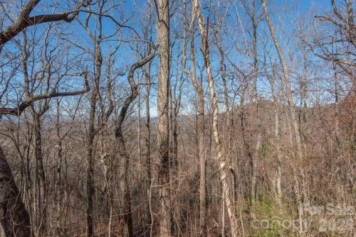 96 Castanea Mountain Drive - Photo 6