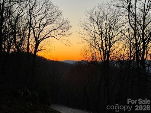 96 Castanea Mountain Drive - Photo 7