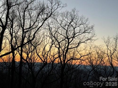 96 Castanea Mountain Drive - Photo 8