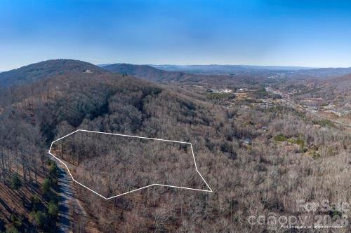 96 Castanea Mountain Drive - Photo 9