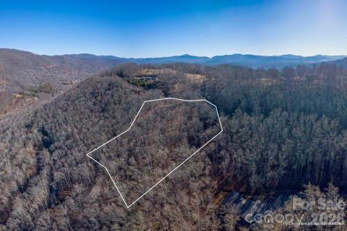 96 Castanea Mountain Drive - Photo 10