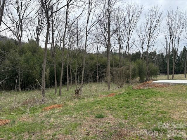 99999 Tatoonie Lane - Photo 2