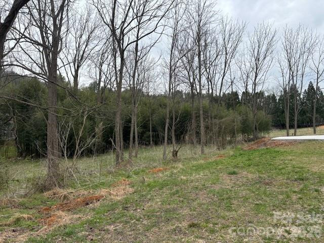 99999 Tatoonie Lane - Photo 3