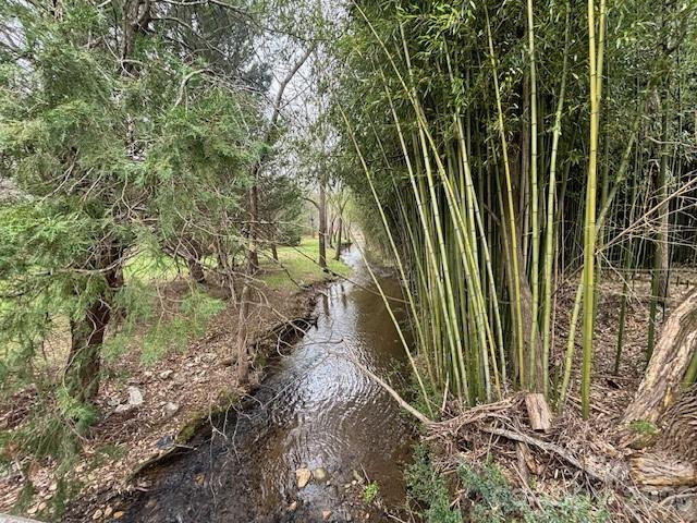 99999 Tatoonie Lane - Photo 4