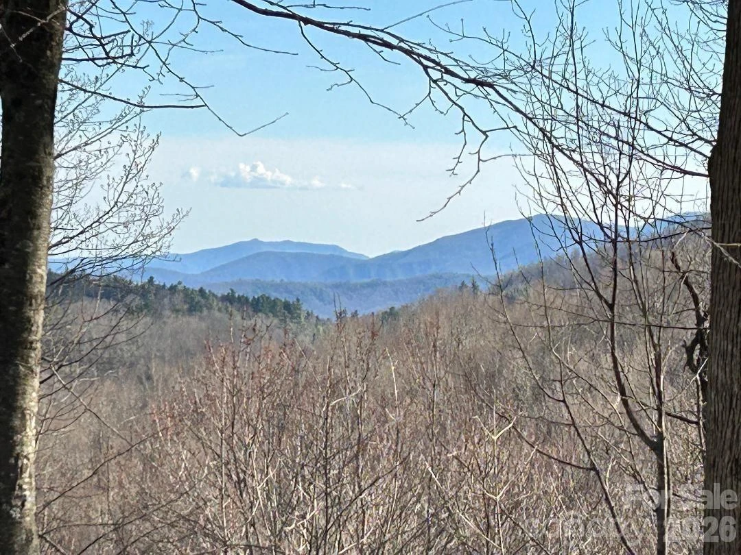 Lot 32 Strawberry Ridge Road - Photo 2