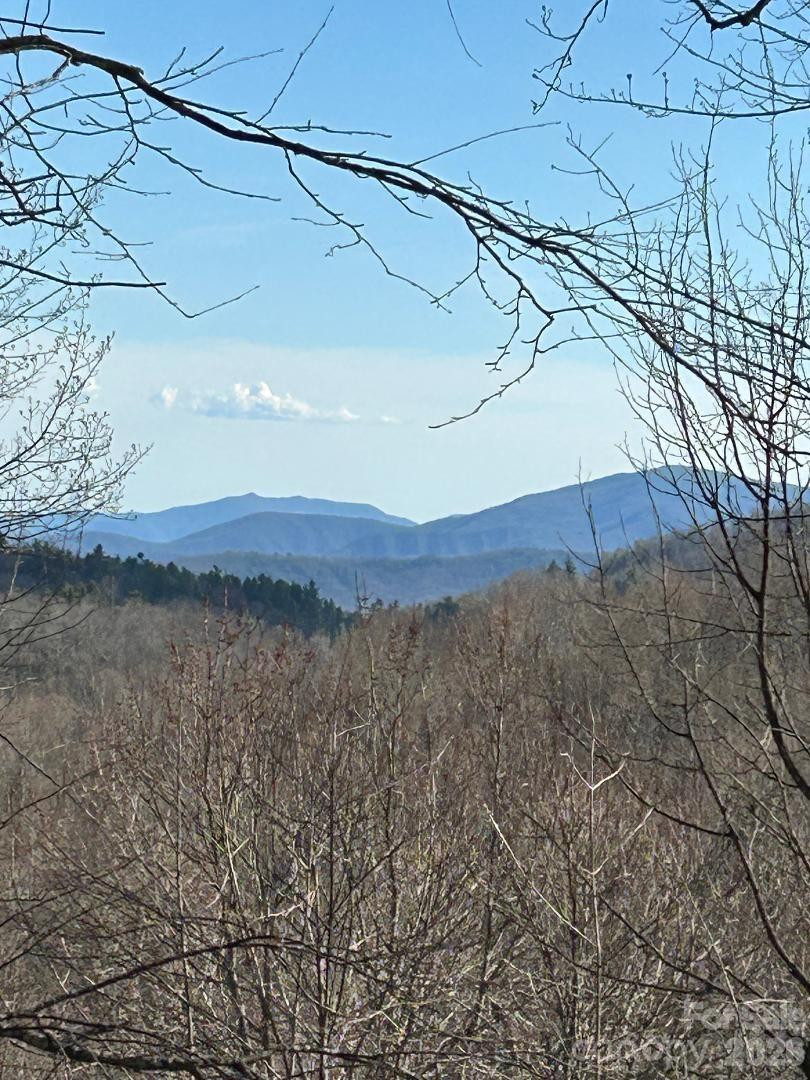 Lot 32 Strawberry Ridge Road - Photo 15