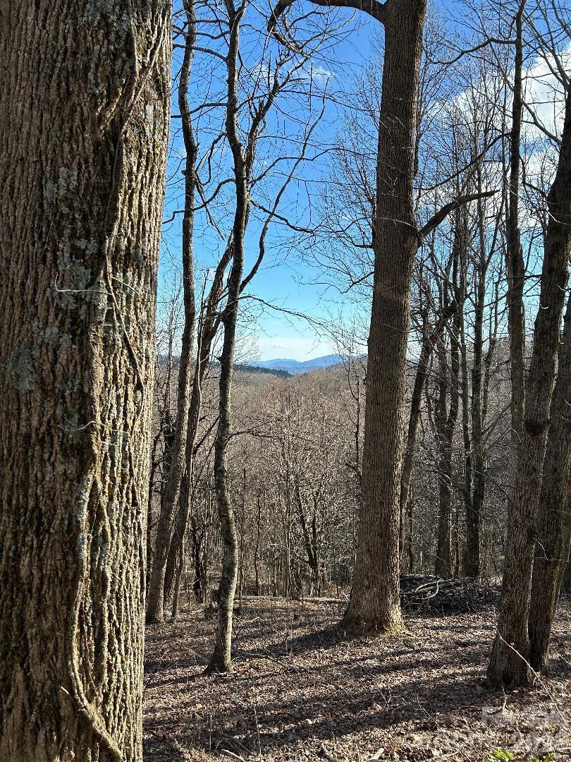 Lot 32 Strawberry Ridge Road - Photo 16