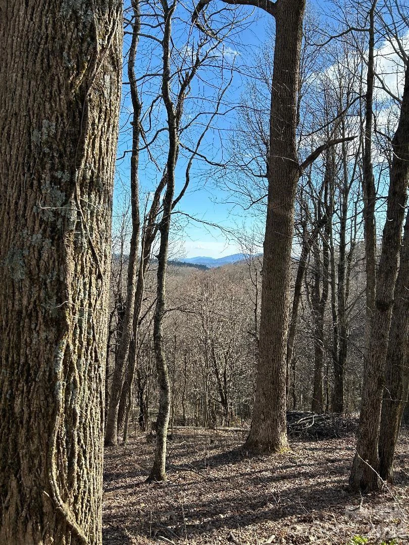 Lot 32 Strawberry Ridge Road - Photo 16