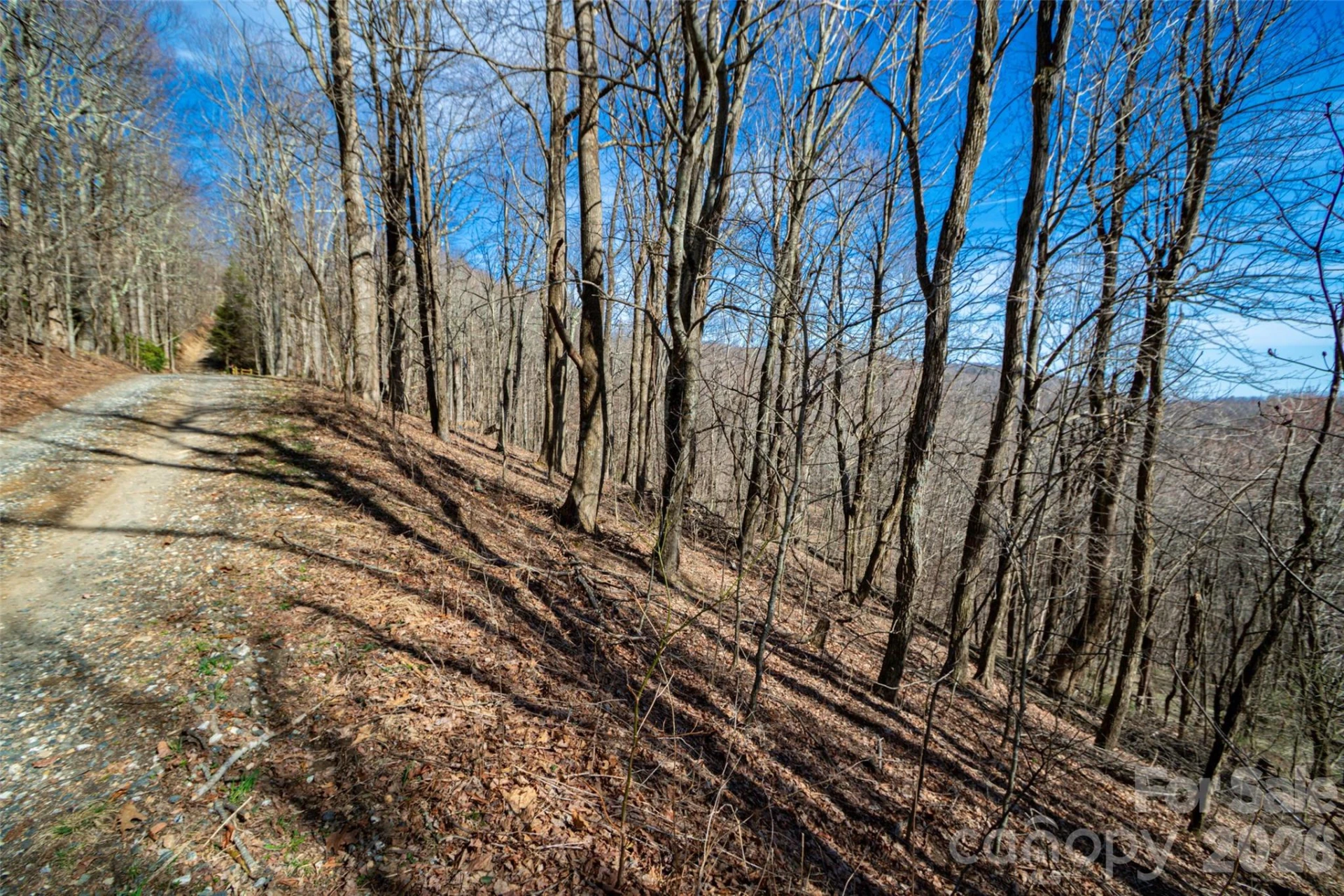 Lot 32 Strawberry Ridge Road - Photo 4