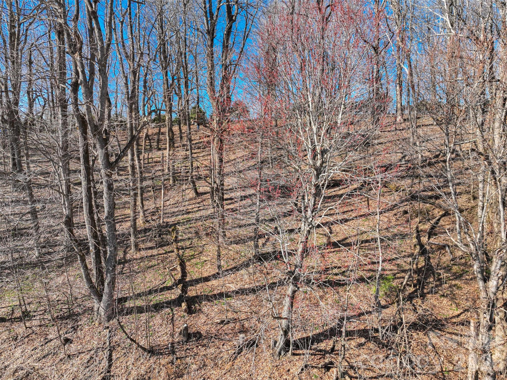 Lot 32 Strawberry Ridge Road - Photo 8