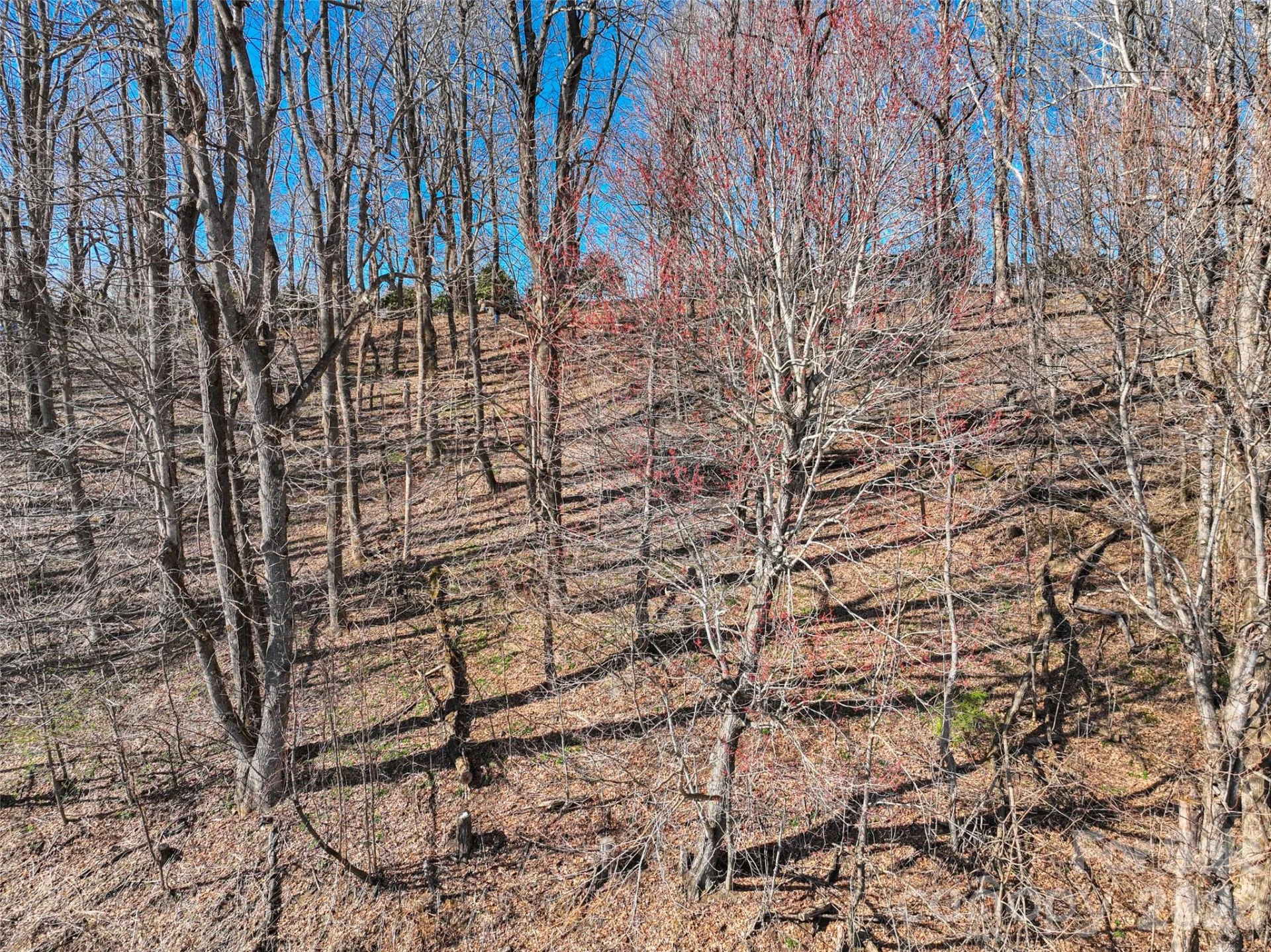 Lot 32 Strawberry Ridge Road - Photo 9