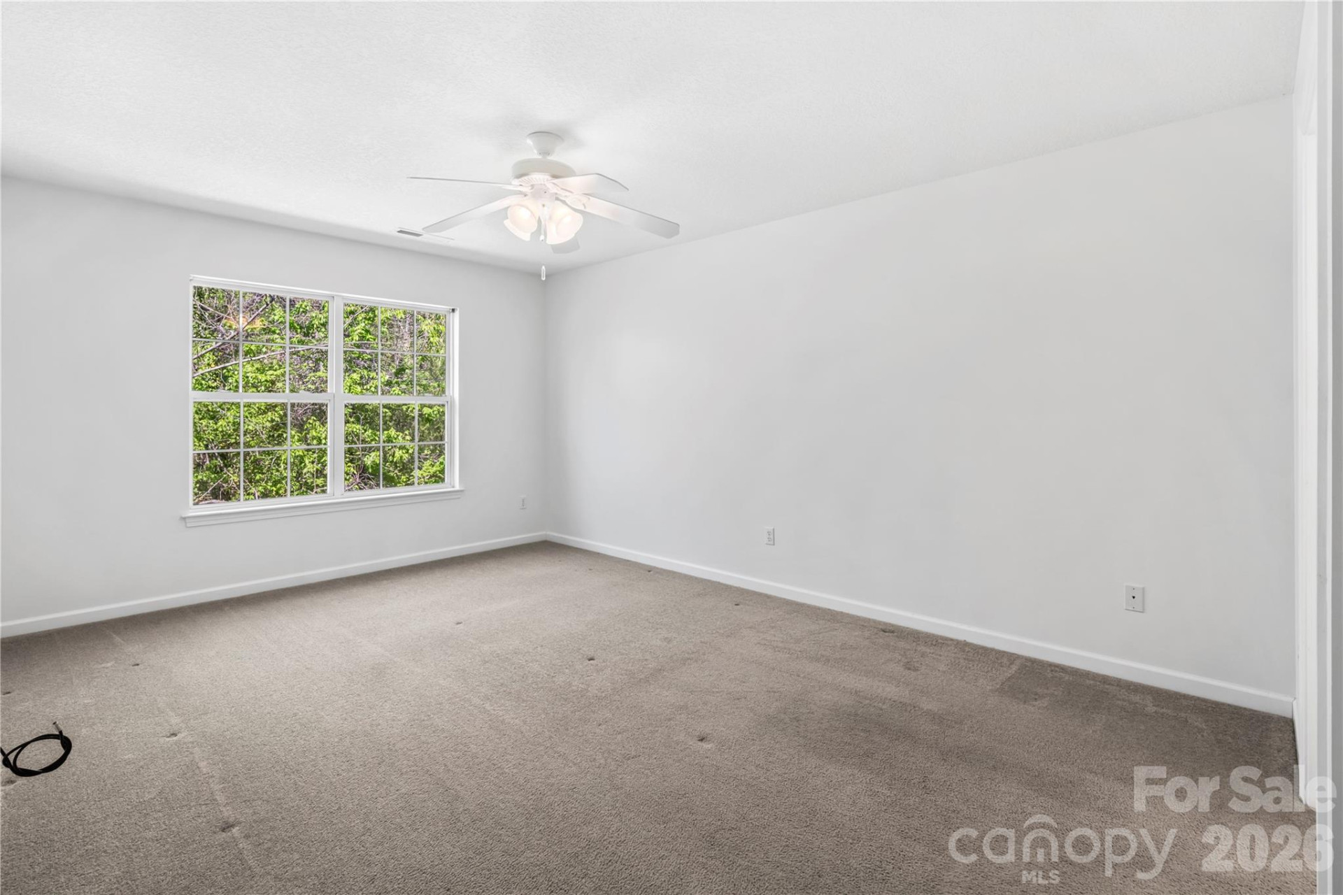 206 Waters Edge Drive - Photo 11