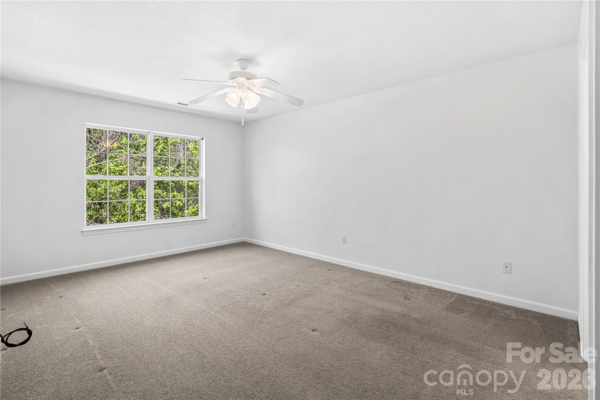 206 Waters Edge Drive - Photo 11