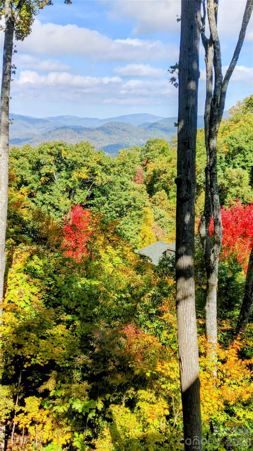 61 Creekside Way #G201 - Photo 36