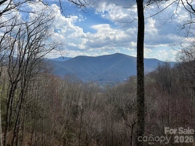 399 Bent Tree Road - Photo 2