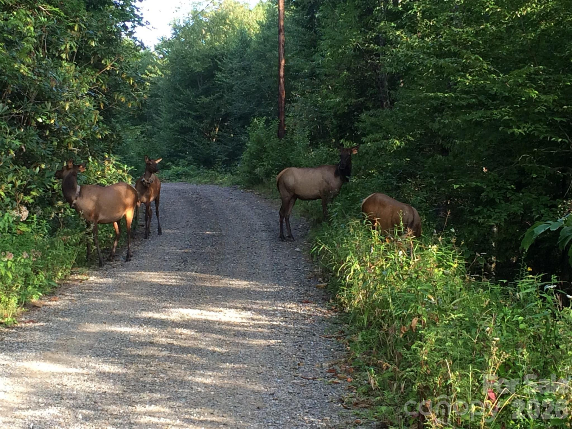 399 Bent Tree Road - Photo 38