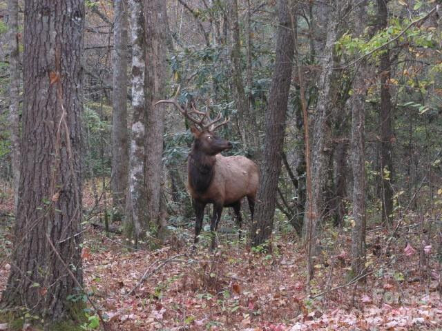 399 Bent Tree Road - Photo 40