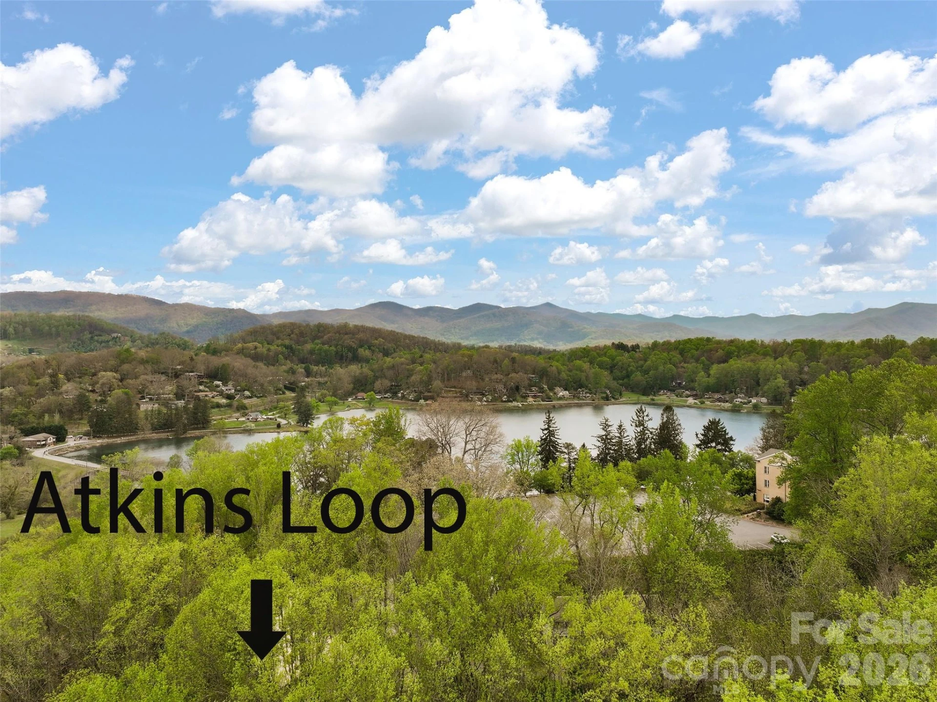 215 Atkins Loop - Photo 43