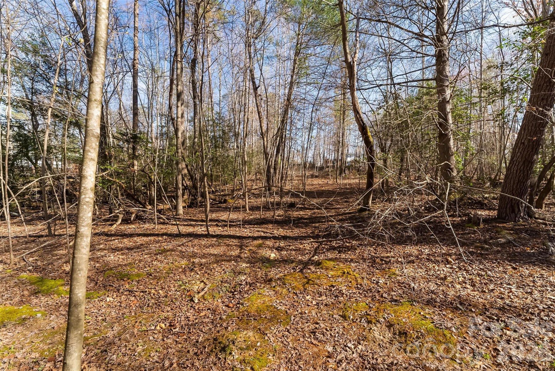 2968 Woodwind Drive - Photo 10