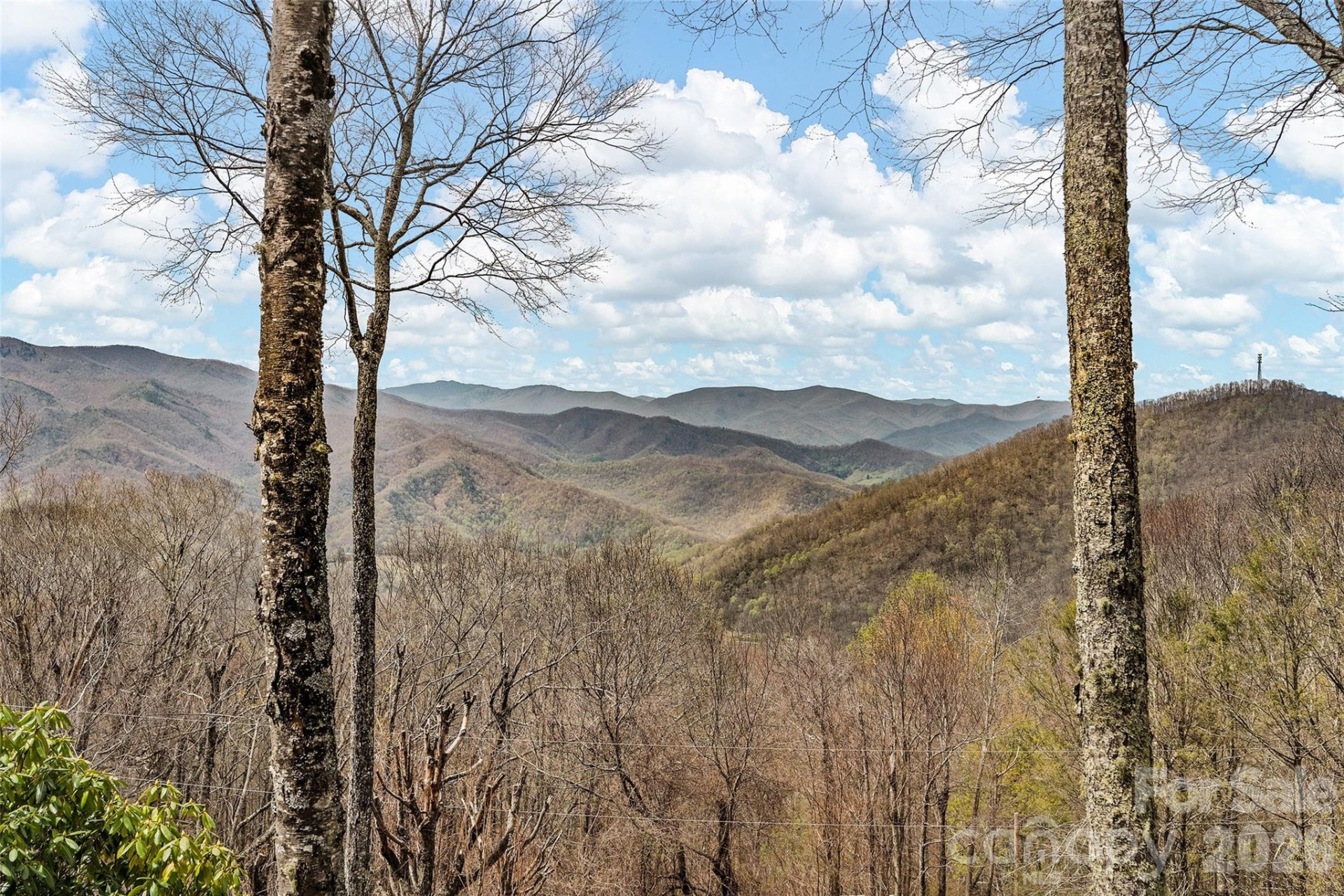 519 Promiseland Road - Photo 27