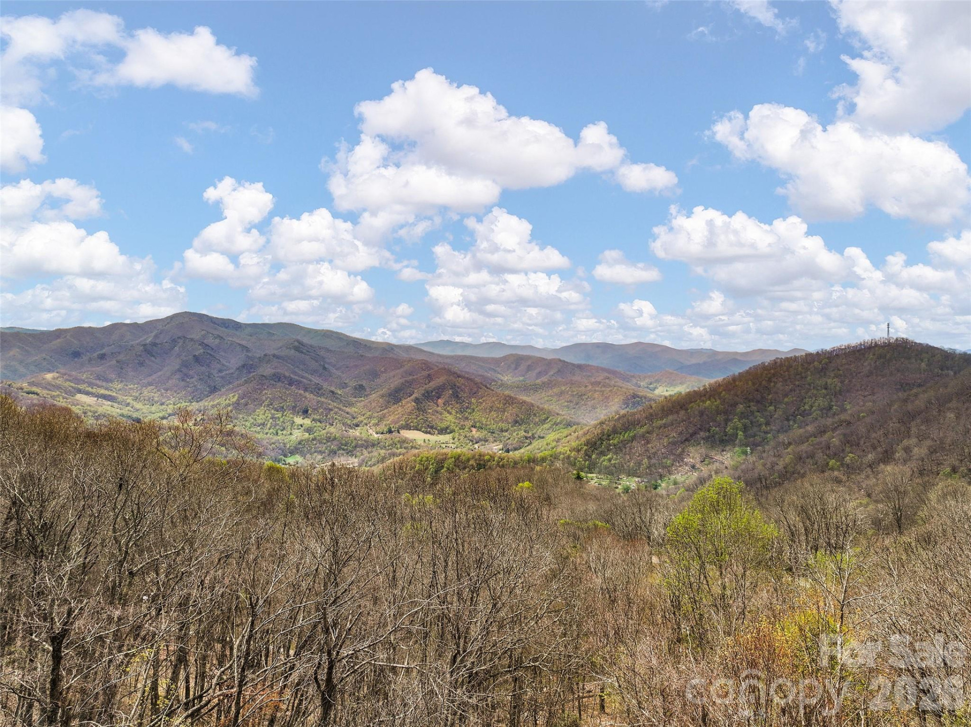 519 Promiseland Road - Photo 4