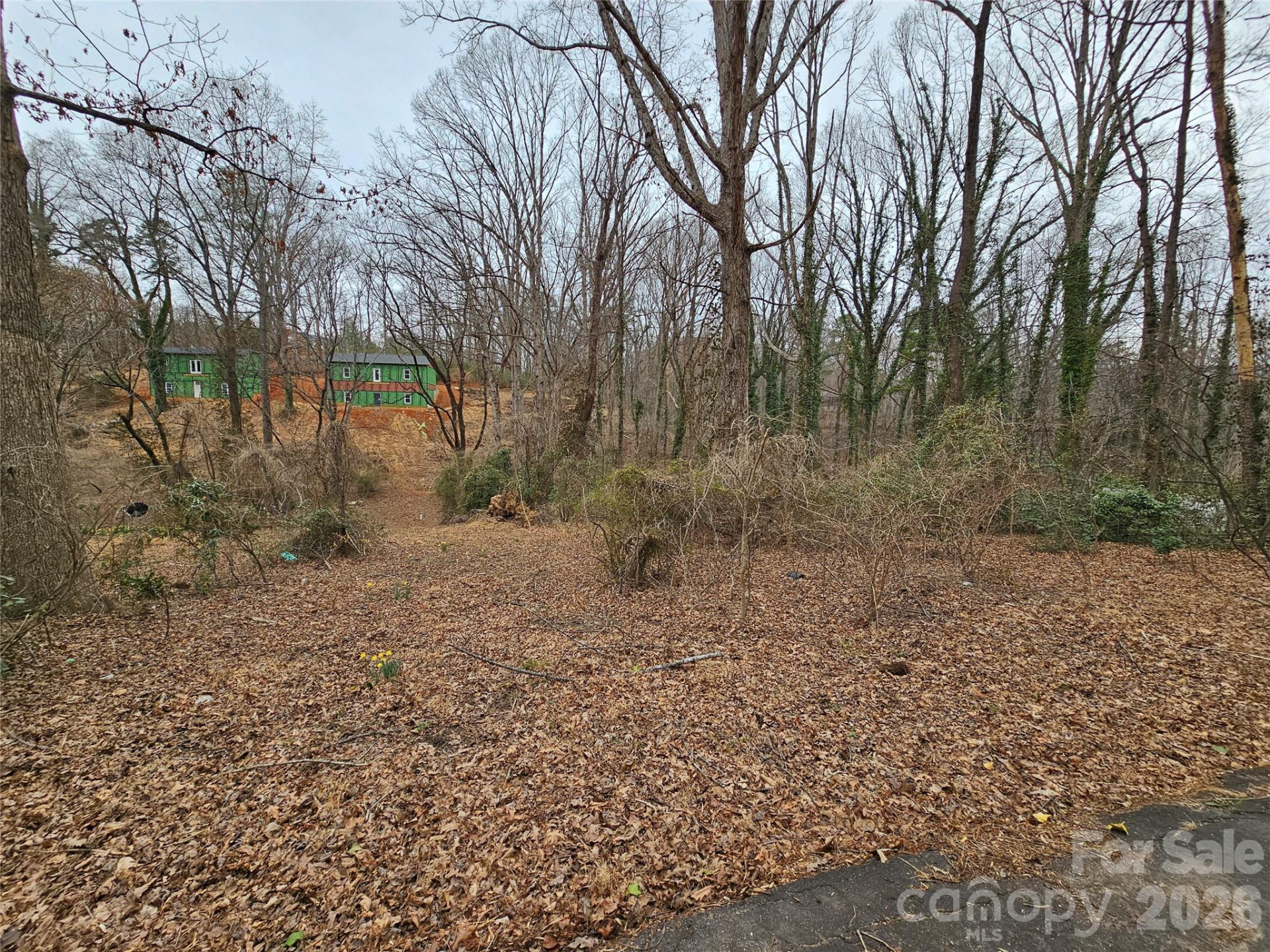 0 Pine Street #25 - Photo 4