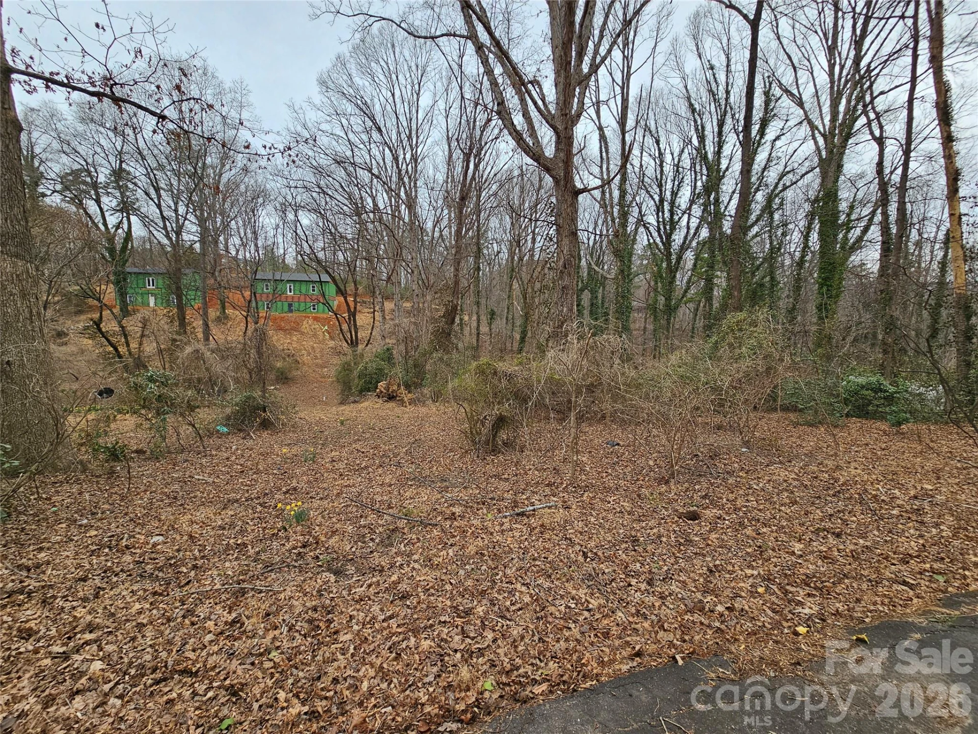 0 Pine Street #25 - Photo 4