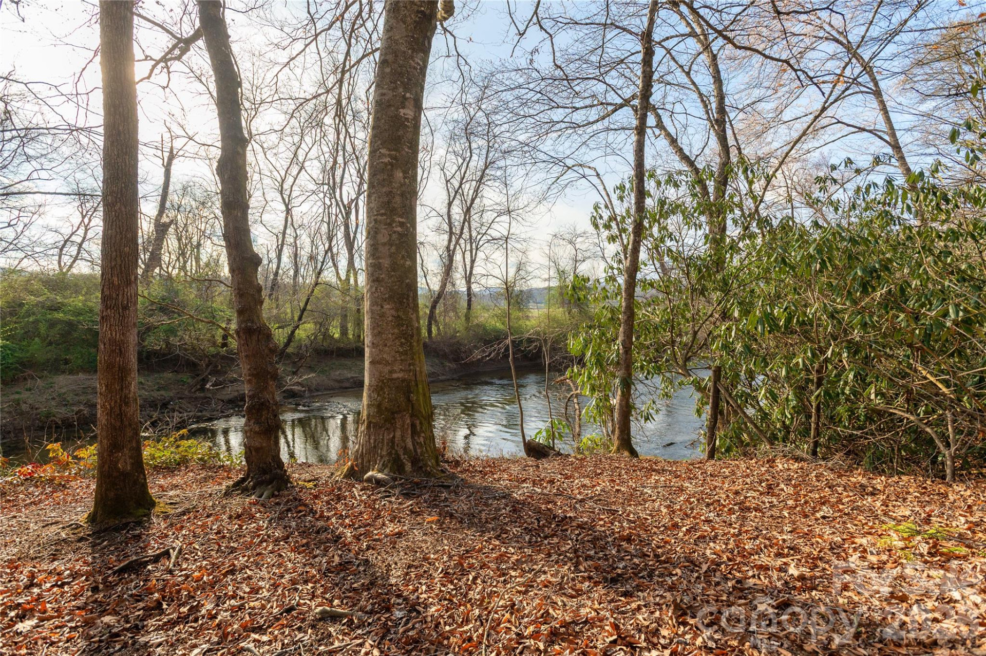 TBD Starlight Circle - Photo 3
