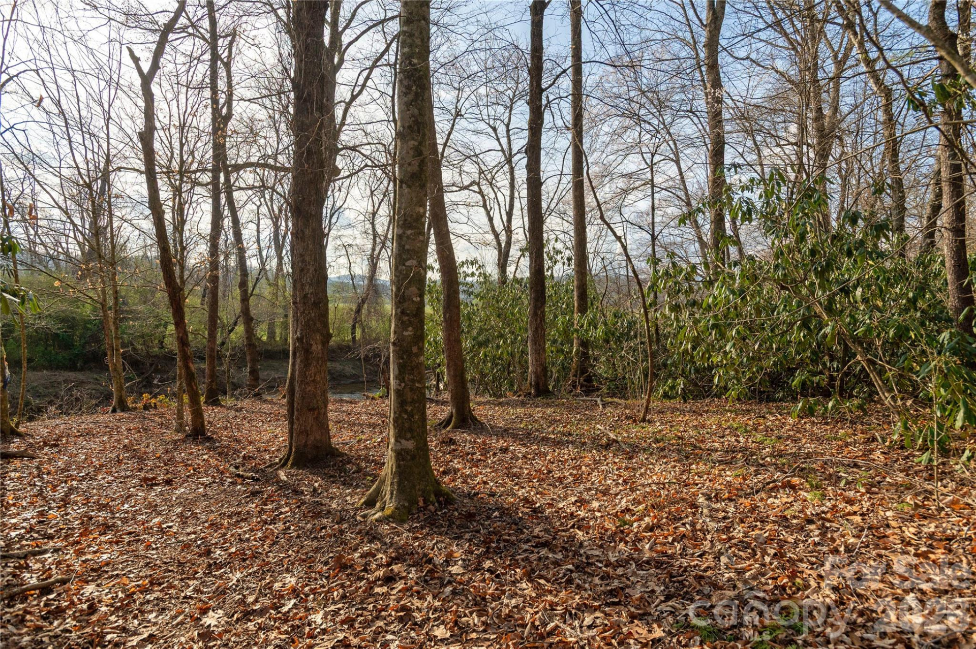 TBD Starlight Circle - Photo 4