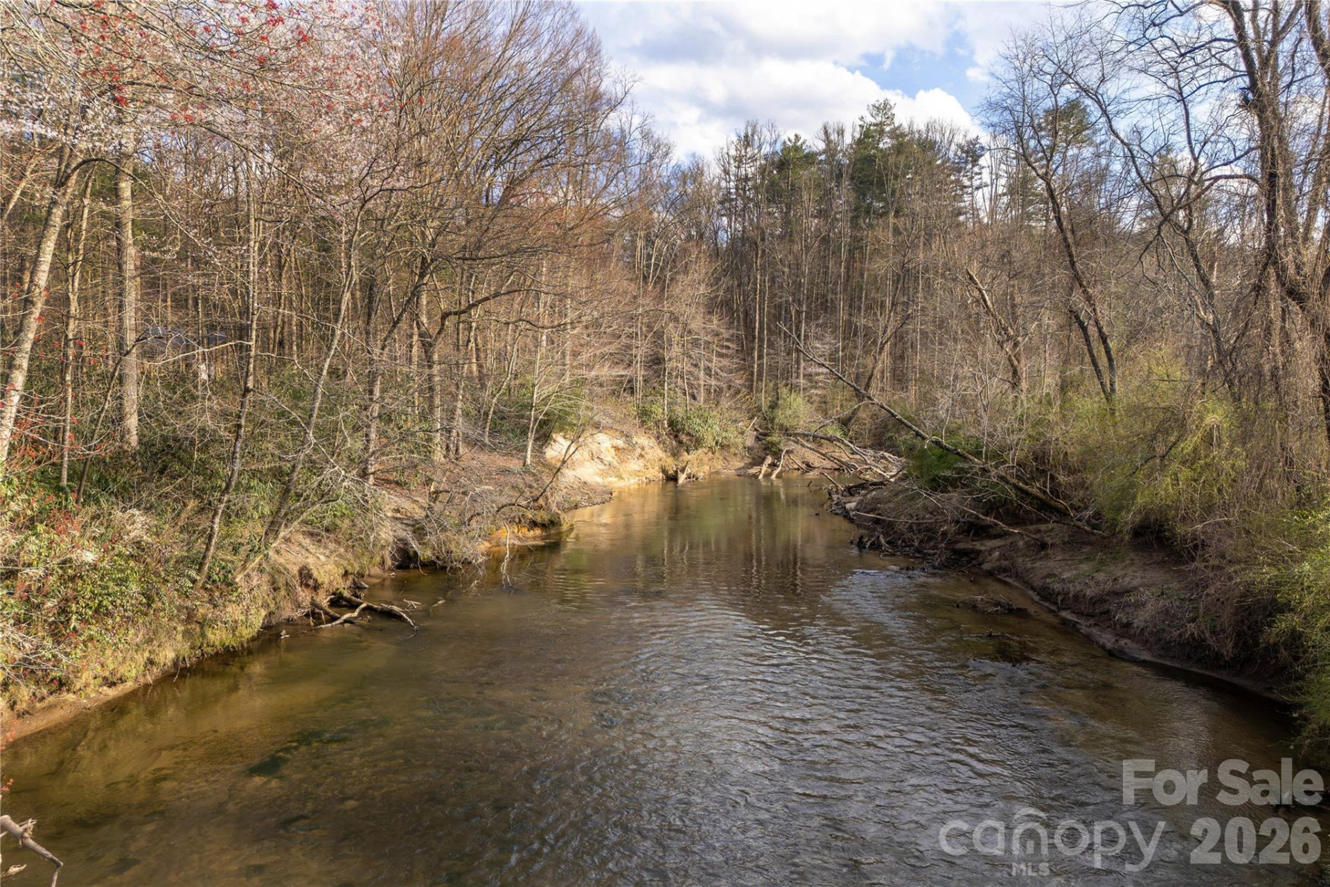 TBD Starlight Circle - Photo 6