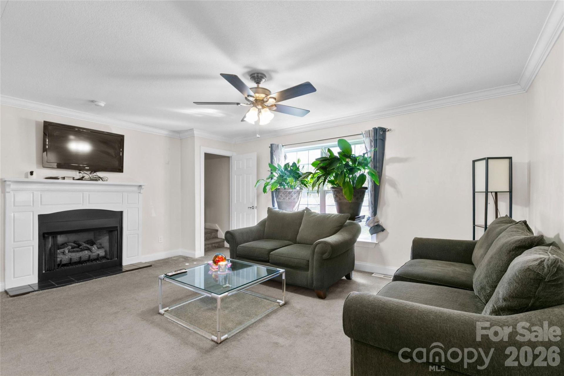 28 Chapel Park Road - Photo 14